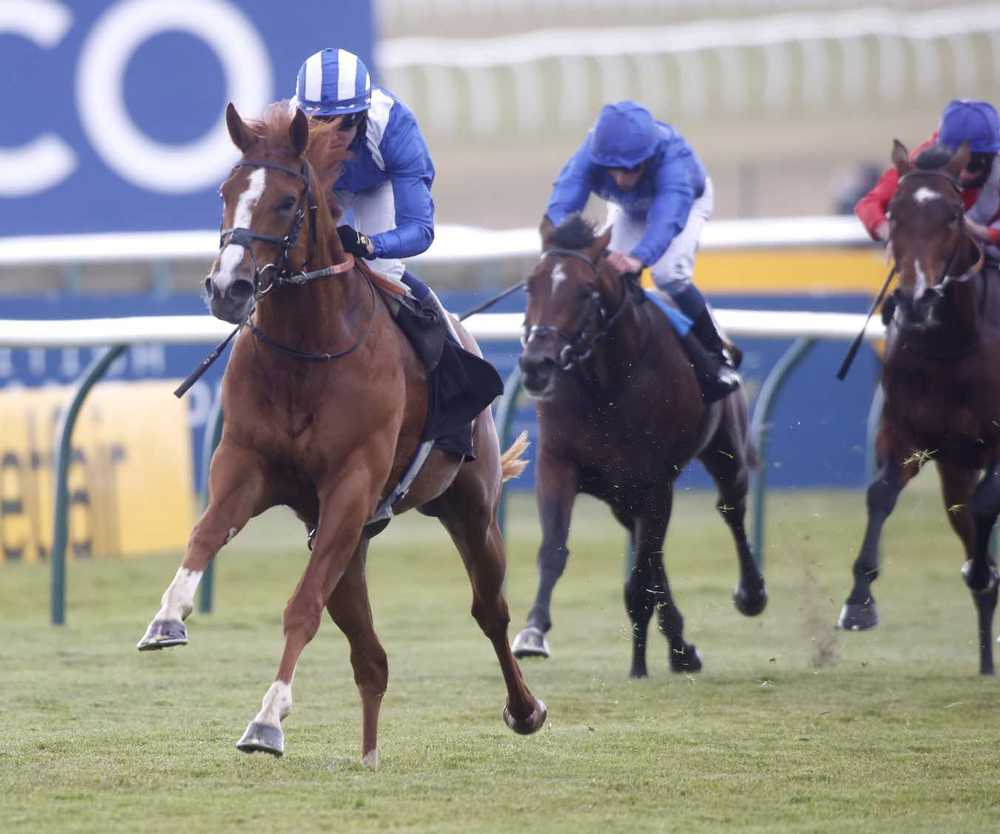 Mohaafeth winning at Newmarket