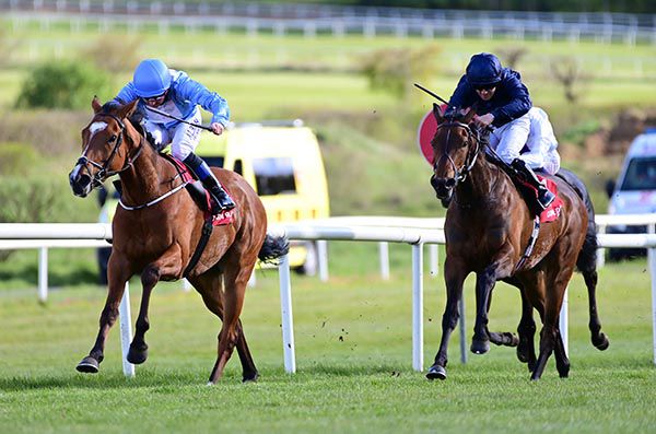 Too Soon To Panic and Chris Hayes (left) win from Empress Josephine 