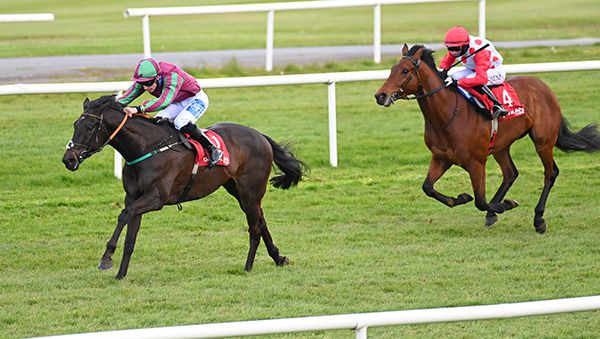 Black Cat Bobby and Cian MacRedmond are out in front of eventual third Giustino