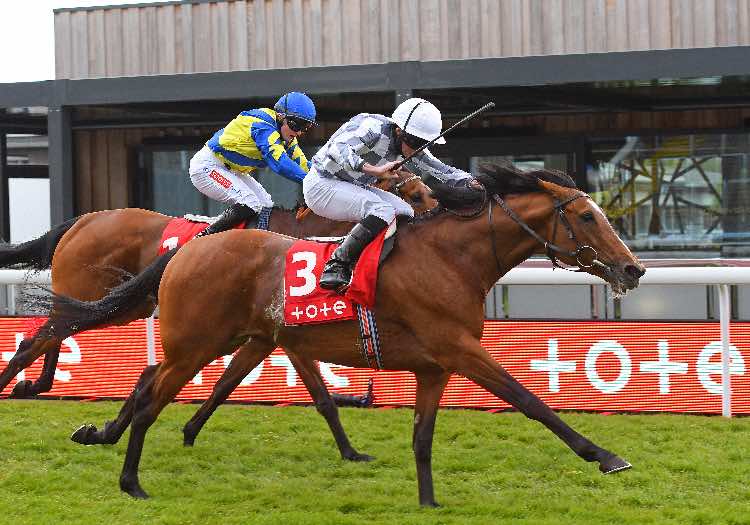 Japan winning the Ormonde Stakes at Chester