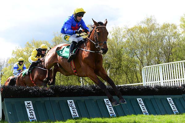 Irishracing Com News Gladiatorial And Mcgarvey Boss The Downpatrick Opener