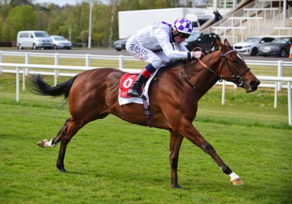 Strapped and Kevin Manning pictured on their way to victory