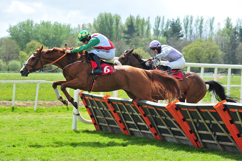 Gallowglass (Kevin Brouder) leads over the last from Joeswayornoway 