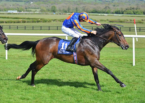 Montego Bay and Wayne Lordan 