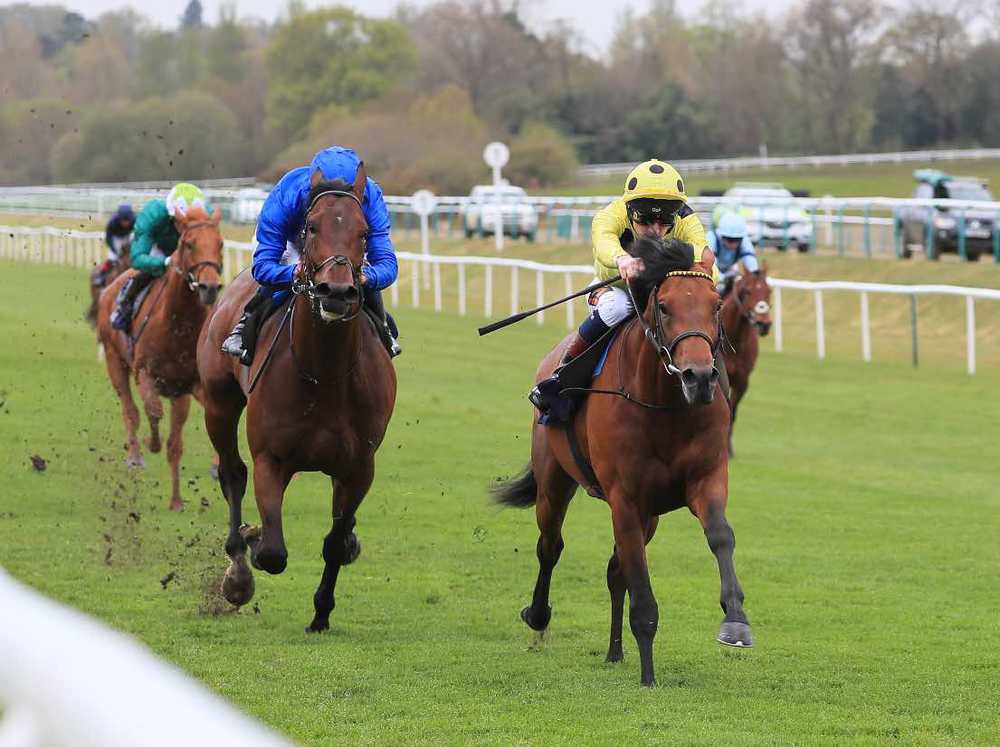 Third Realm (yellow) beating Adayar at Lingfield