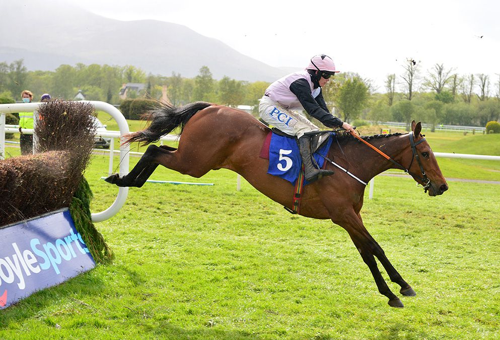 Gin And Lime and Rachael Blackmore 