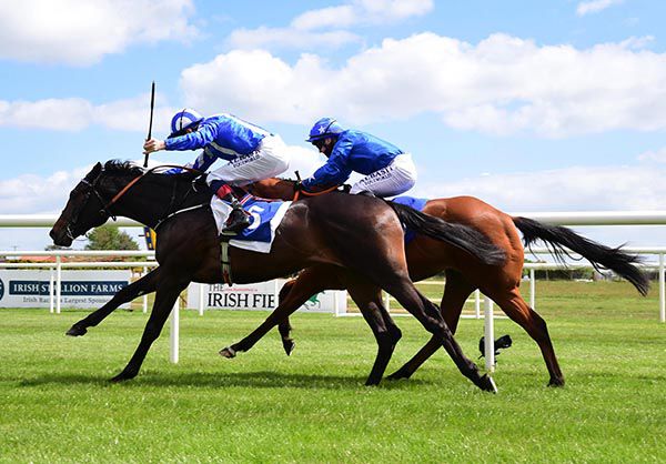 Cool And Clever (near side) beating Sunset Shiraz