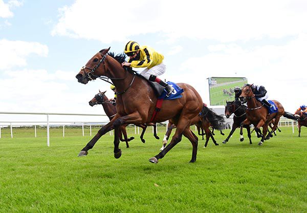 Lord Dudley and Declan McDonogh