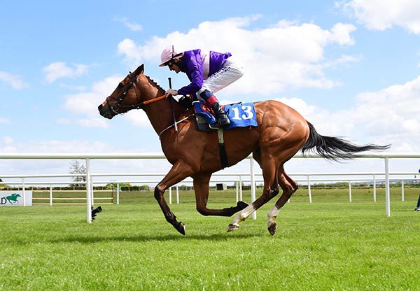 Soaring Monarch wins going away