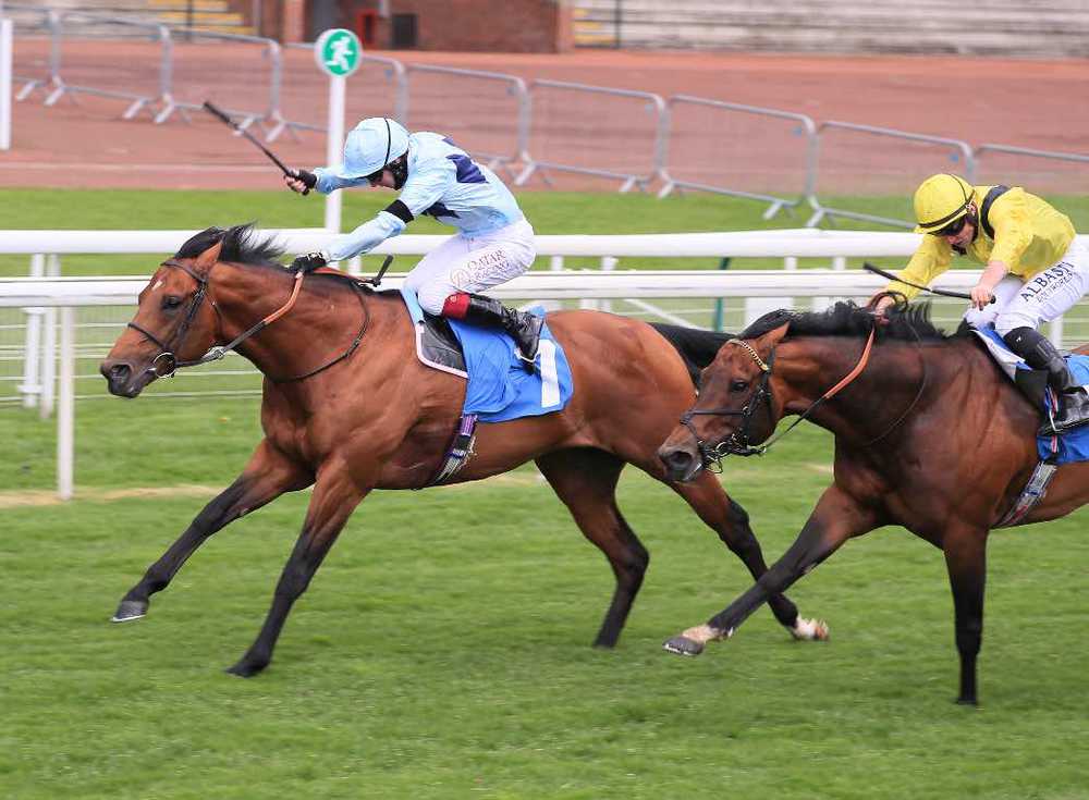 Starman seen here winning at York