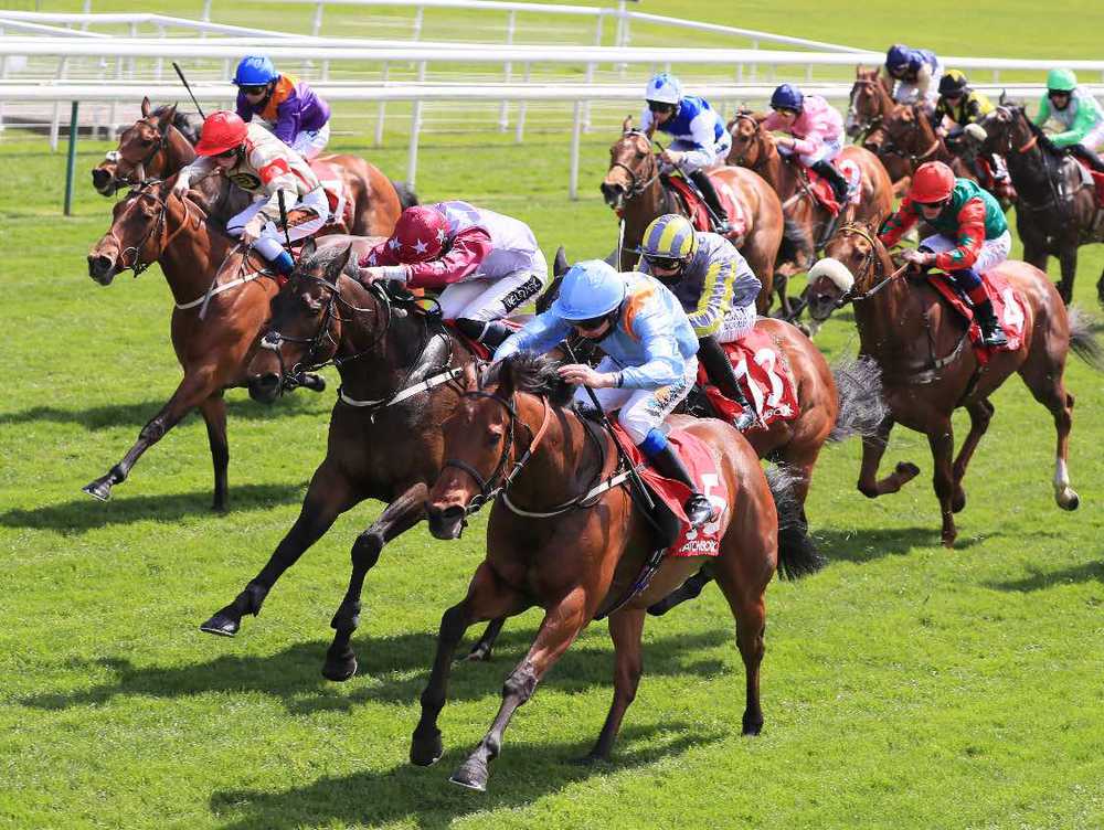 Copper Knight will attempt to win his own race for Tim Easterby 