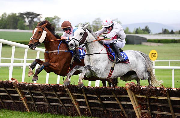 Irishracing Com News Doldido Makes Most Of Clonmel Opportunity For Winters