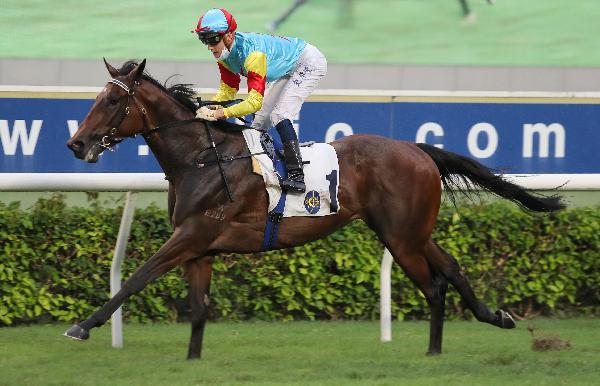 Fantastic Treasure and Chad Schofield win comfortably last start.