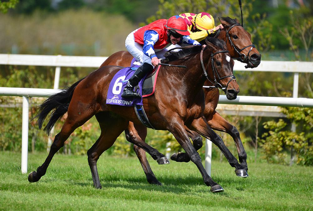Indian Lilac and Seamie Heffernan (nearest) win from Everyhouronthehour  