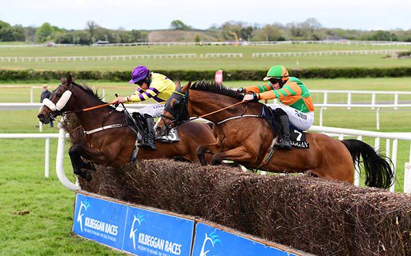 Definite Soldier (Adam Short, far-side) leads from Ask Nile (Ricky Doyle)