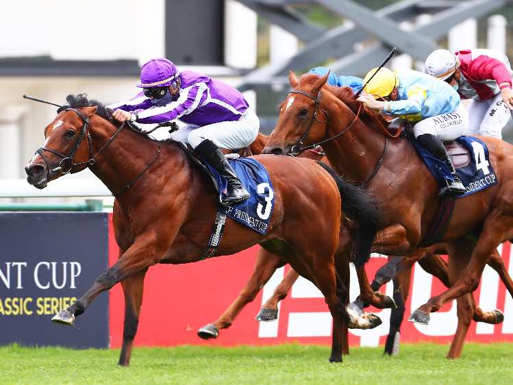 St Mark's Basilica winning Sunday's French 2000 Guineas at ParisLongchamp