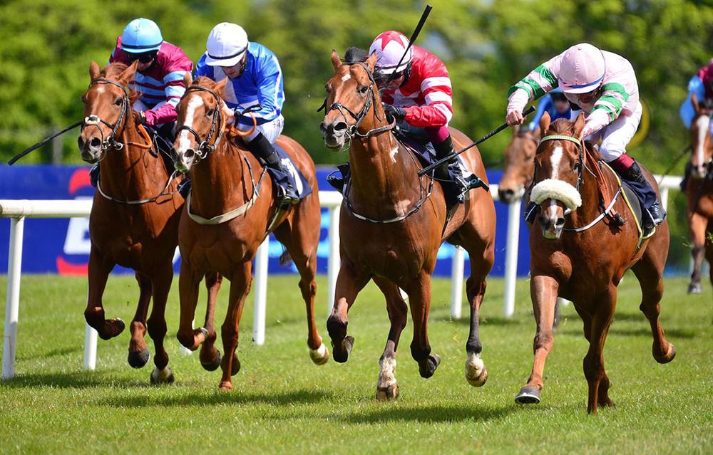 Coins Cross and Mark Gallagher (right) win from Stalingrad (second right) 
