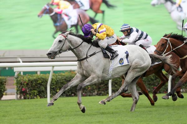 Glorious Dragon is a four-time winner in Hong Kong.