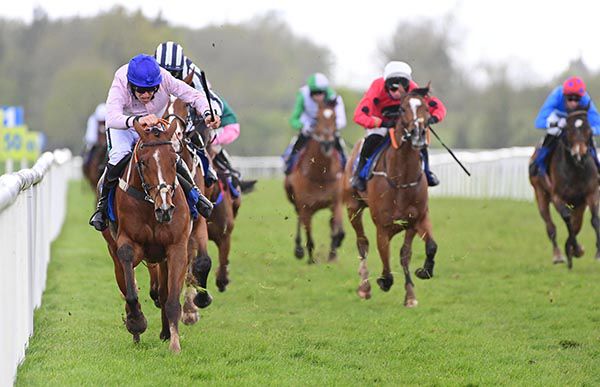 Imperial Ruler and Barry O'Neill