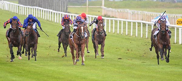 Mac Swiney (Rory Cleary, down the centre) beats Poetic Flare (Kevin Manning, right)