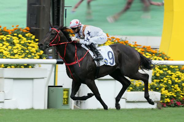 Courier Wonder claims the G3 Sha Tin Vase Handicap (1200m).
