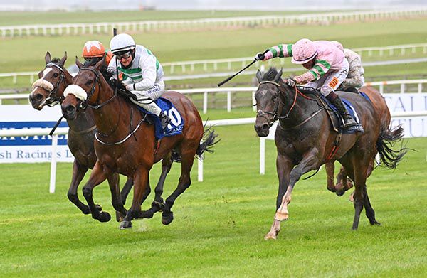 Wild Dollar, right, storms home to tackle Citronnade, centre