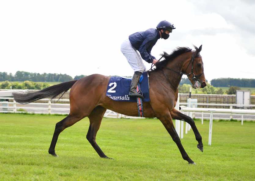 Empress Josephine won the Irish 1000 Guineas on Heavy ground