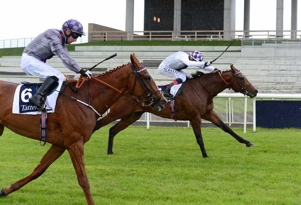 Poetic Flare (far side) was just denied by stablemate Mac Swiney in the Irish 2,000 Guineas