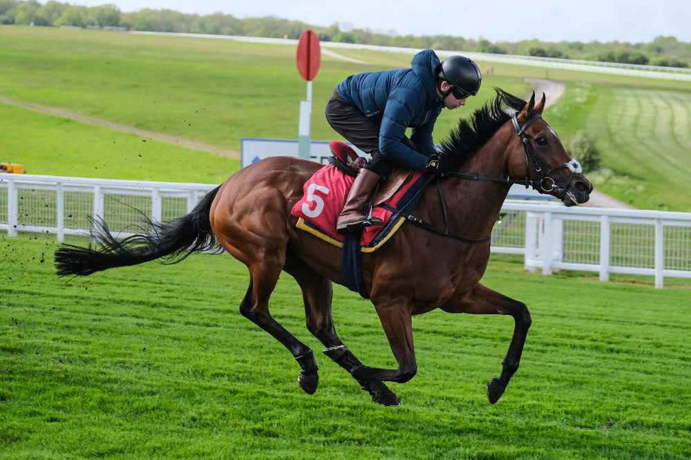 Ocean Road working at Epsom 
