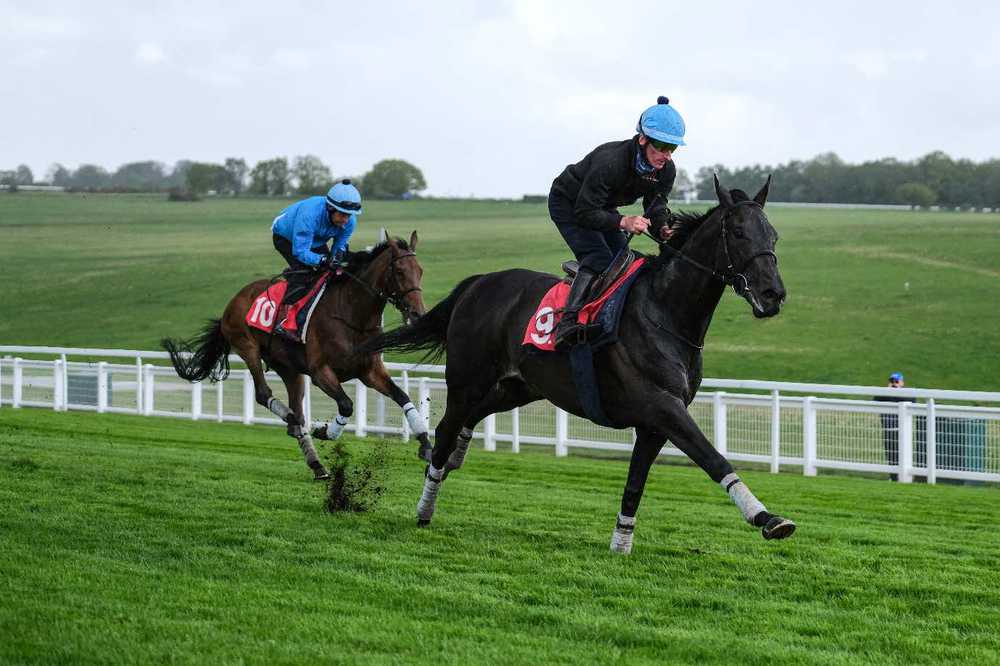 John Leeper (right) working at Epsom last week