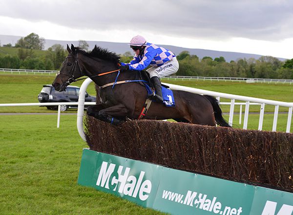 Great Khan clear at the final fence