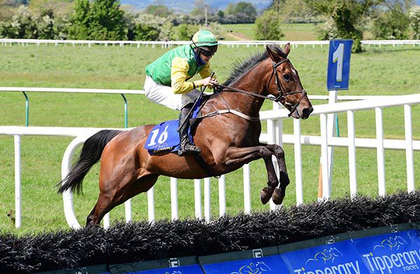 Aoibhe's Beau puts in a good jump at the last