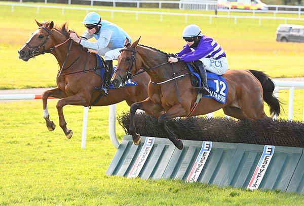 Chelseas Friend, near side, delivers in Ballinrobe