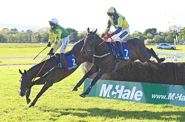 Forrard Away, near side, jumps the last as Bold Emperor unseats Darragh O'Keeffe