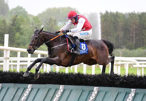 Glen Robin and Bryan Cooper in full flight at the last