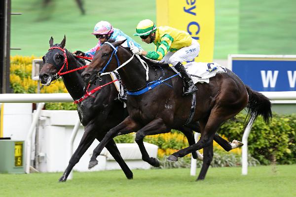 Sky Darci (outside) fends off Happy Healthy to claim the Lion Rock Trophy