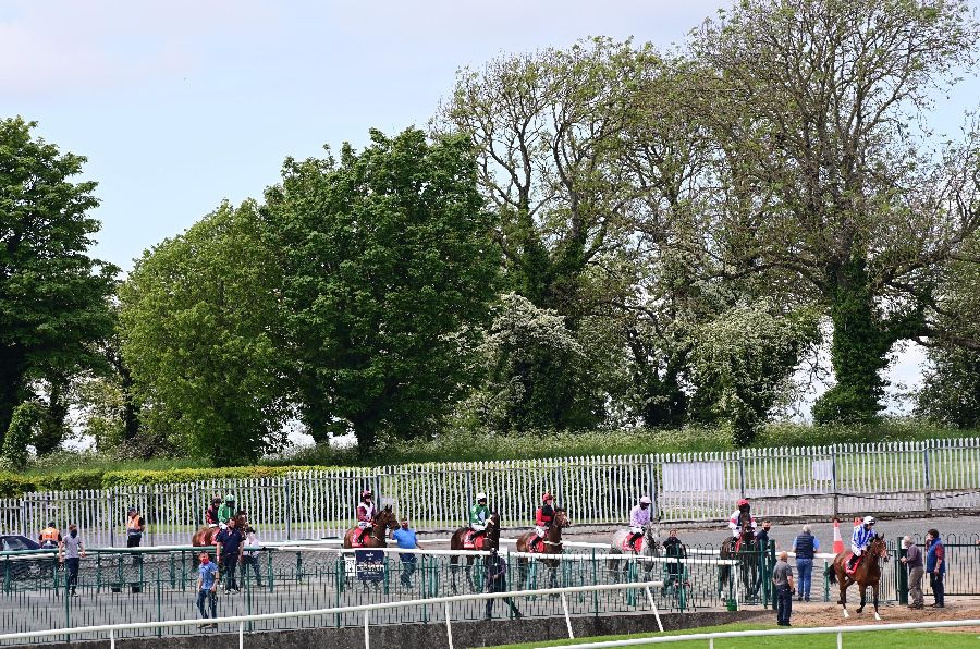 Punchestown