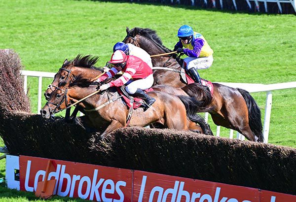 Sizing Malbay jumps past Fill The Tank at the last with Robin De Roost close up