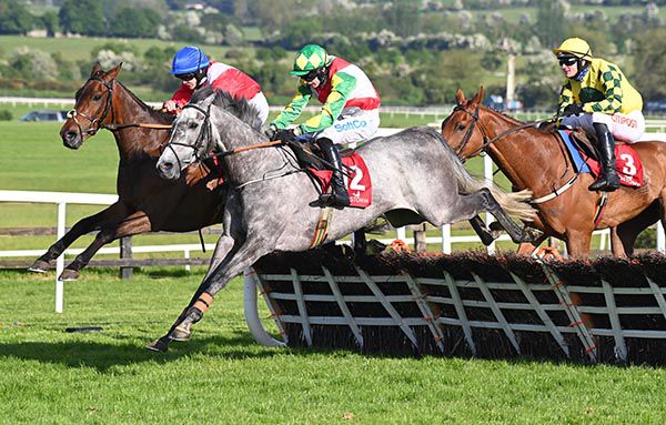 Pipers Meadow leads on the run-in