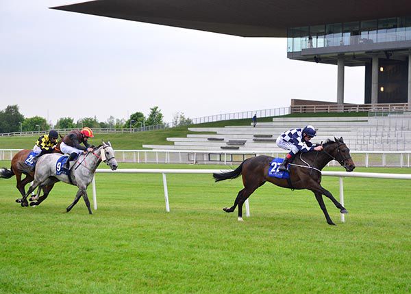 No More Porter and Kevin Manning win well from the grey Mary Salome