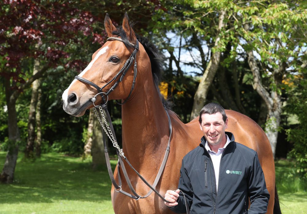 Faugheen arriving at The Irish National Stud with groom John Codd (Photo carolinenorris ie)