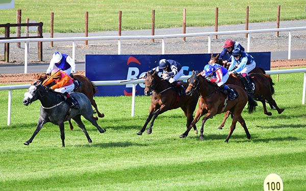 The grey Maguire's Grace goes clear under Dylan Browne McMonagle 