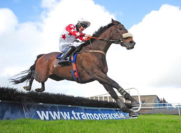 Goulane Chosen clears the last under Brian Hayes