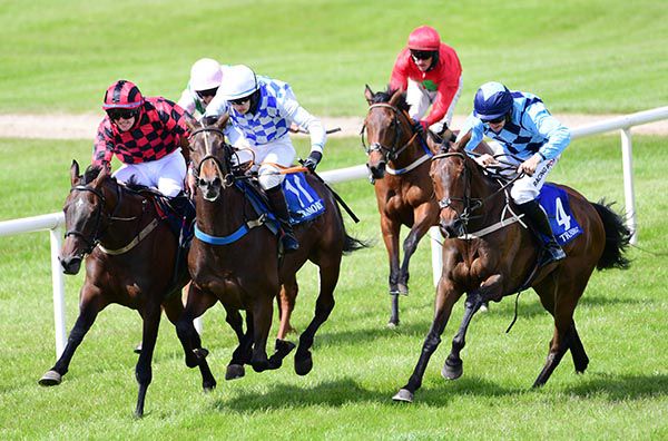 Sadie's Pride (red and black checks) battles out the finish with She's A Cracker and Greenane Lady