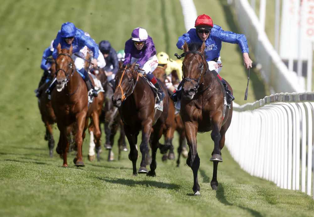 Mojo Star and David Egan (purple, second right) ran second to Adayar in the Derby