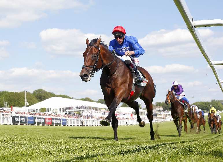 Cazoo Derby winner Adayar