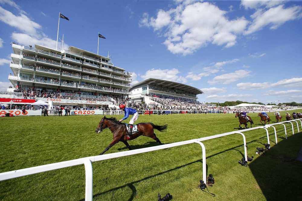 Adayar pictured winning the Epsom Derby twelve months ago