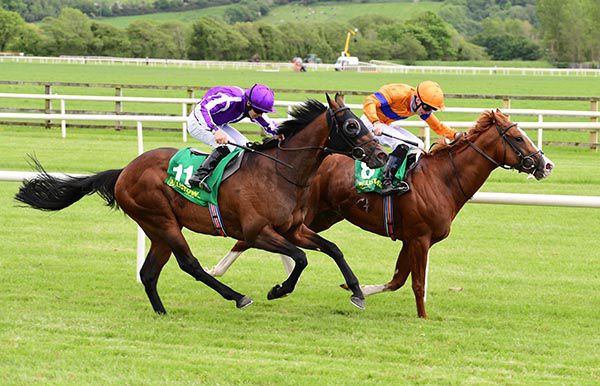 Metaphorical comes to claim Emporio