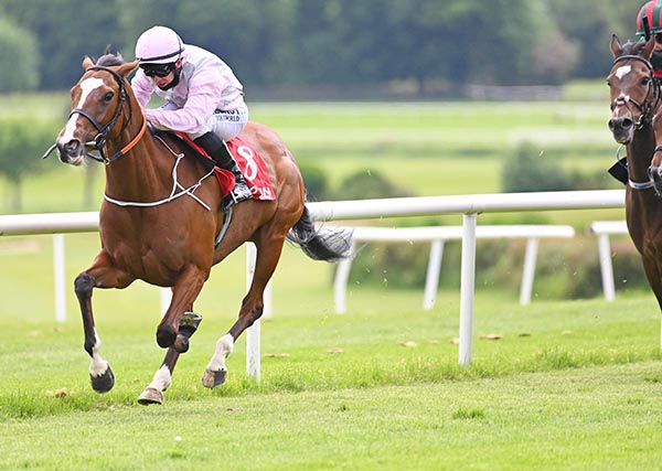 Galtee Mist and Gary Carroll 
