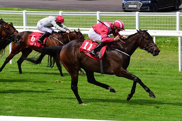 Screen Siren and Mikey Sheehy (right) come home in front  